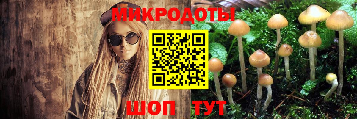 Галлюциногенные грибы GOLDEN TEACHER Сухой Лог