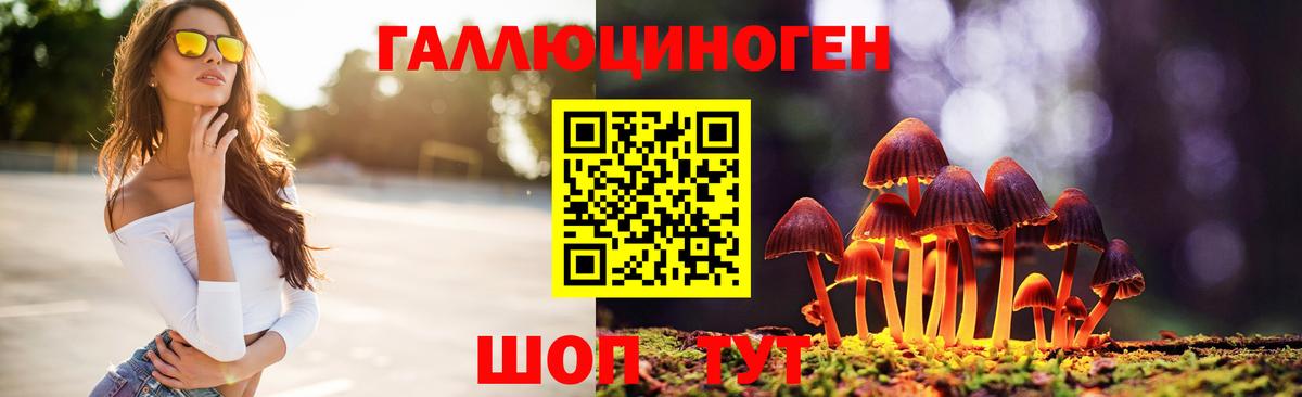 Сухой Лог  Псилоцибиновые грибы Cubensis  Вход с VPN 